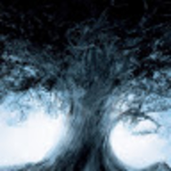 Meet your Posher, Kirk - Picture 1 of 1